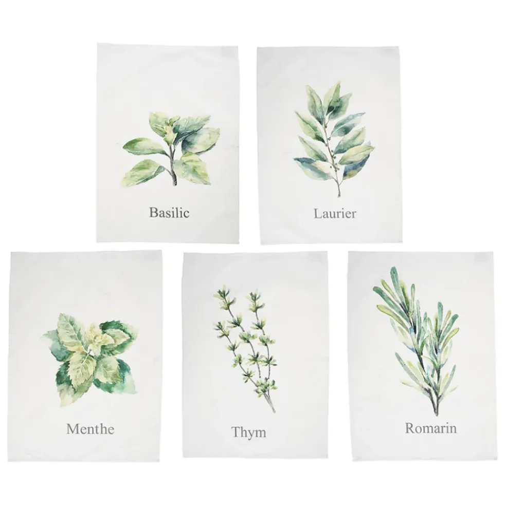Set de 5 torchons aroma vert et lin en coton