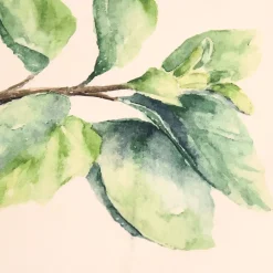 Set de 5 torchons aroma vert et lin en coton