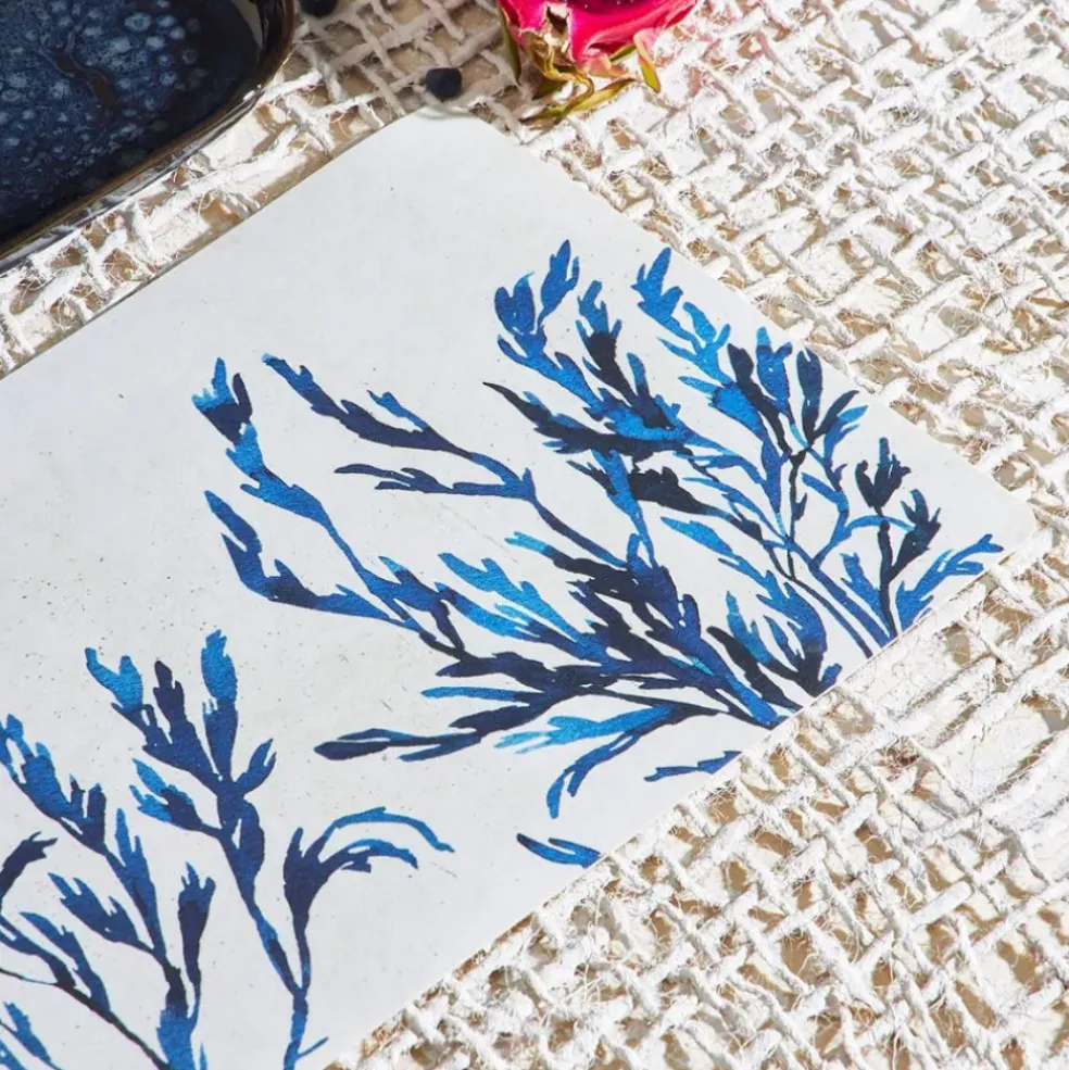 Set de table corail en vinyle bleu marine 30x45cm - Corail