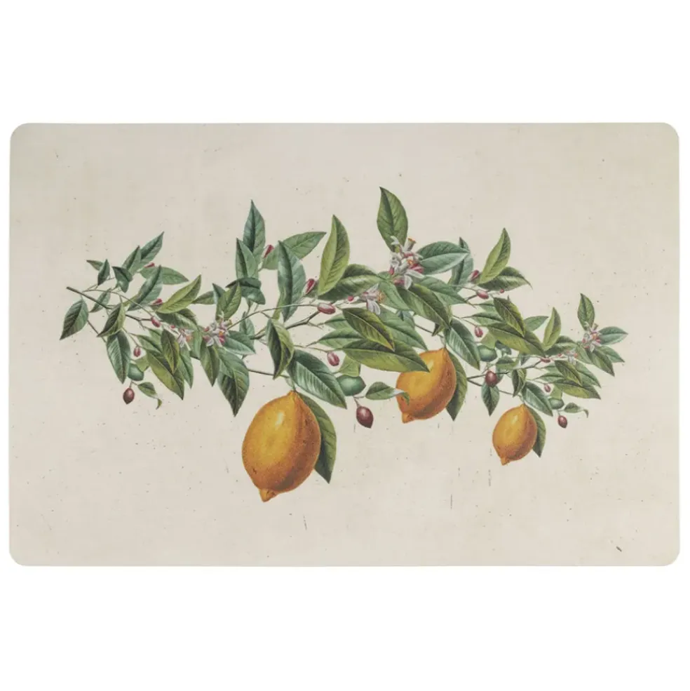 Set de table en vinyle multicolore 45x30cm - Citrons