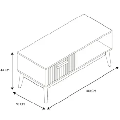 Table basse en bois naturel 100x50 cm - kara