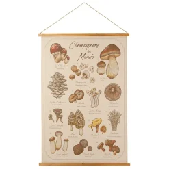Toile "encyclopédie champignon" 77x110cm