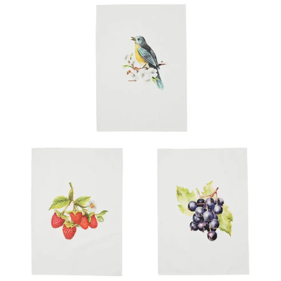 Torchon en coton (x3) faune et flore multicolore 50x70cm