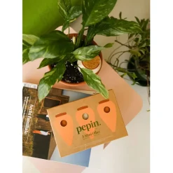 Trio mini diffuseur d'eau en argile : 2 terracotta et 1 blanc graine - Olla